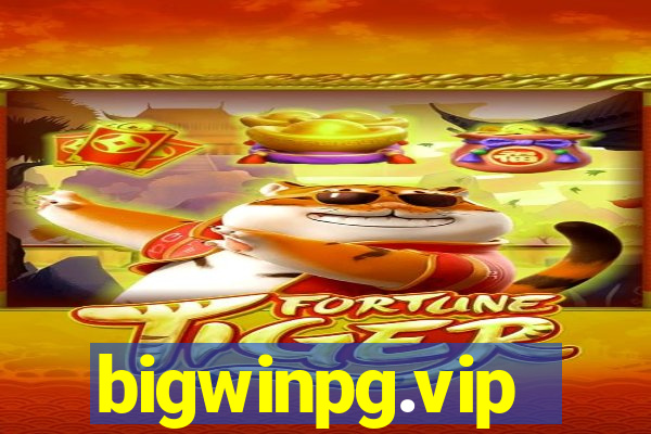 bigwinpg.vip