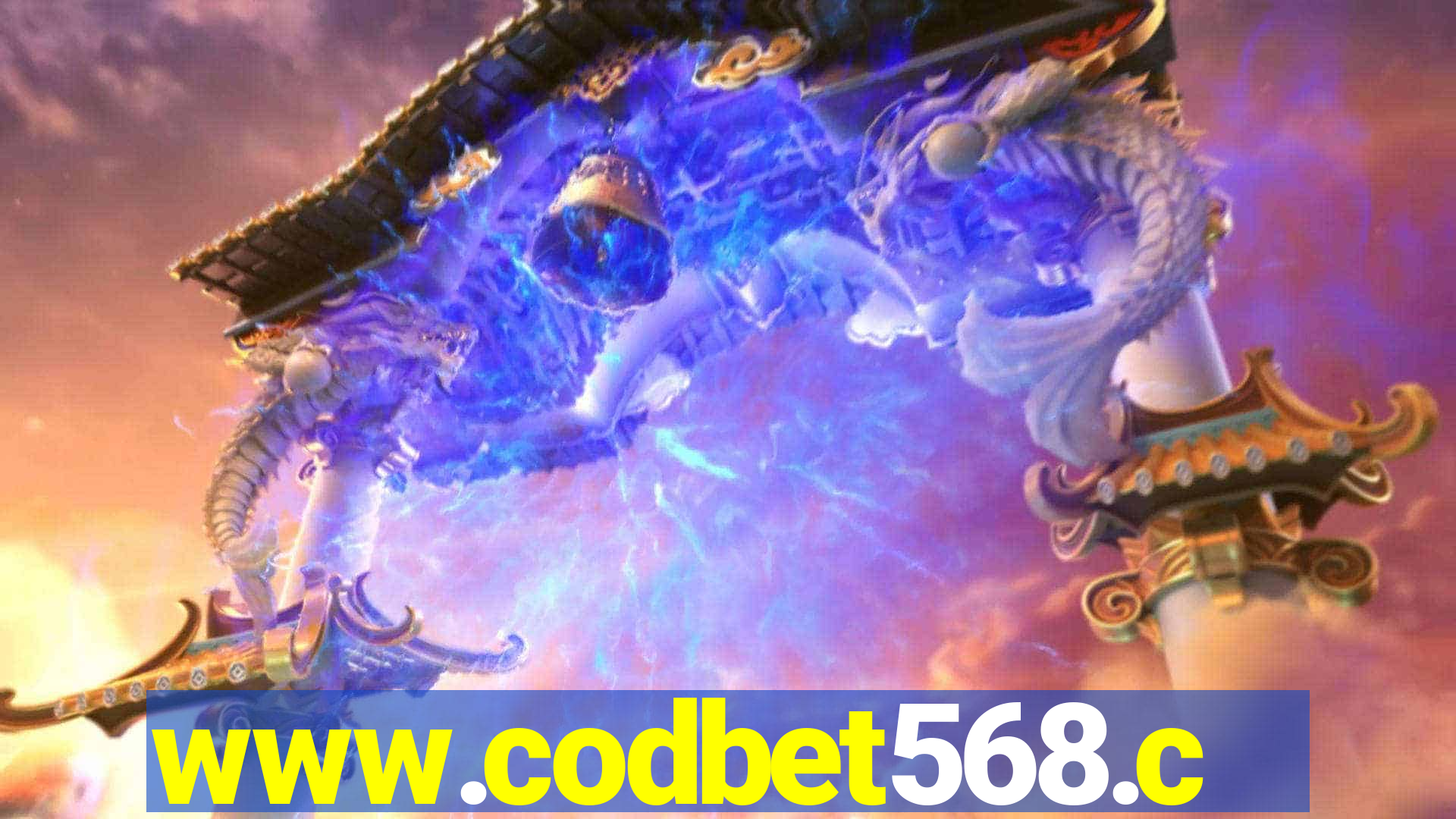 www.codbet568.com