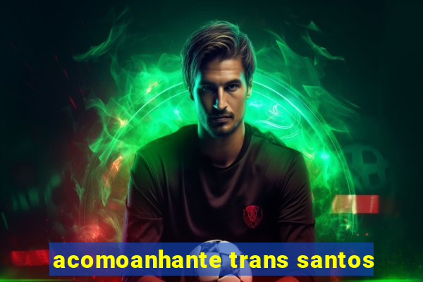 acomoanhante trans santos