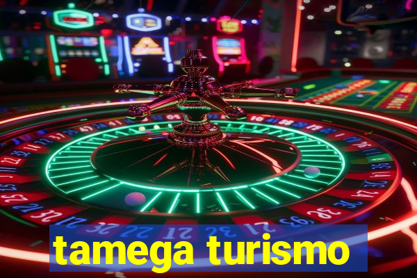 tamega turismo