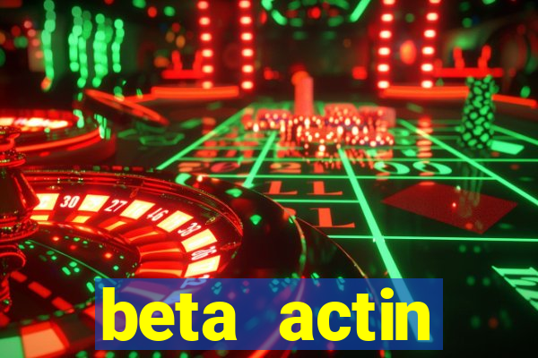 beta actin molecular weight