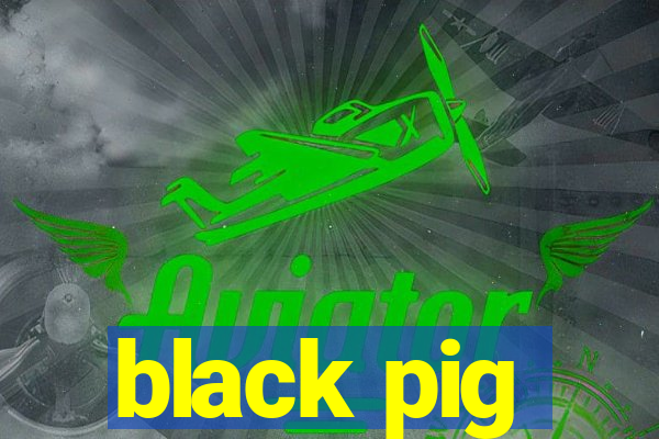 black pig