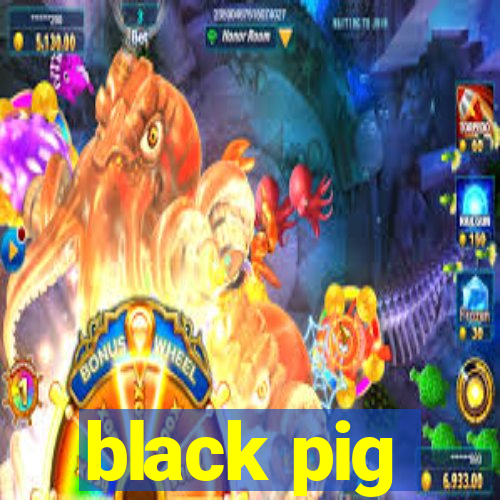 black pig