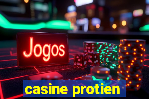 casine protien