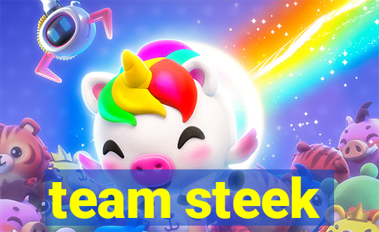 team steek