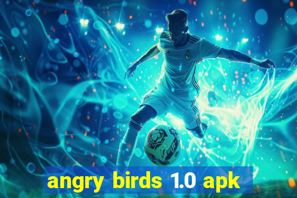 angry birds 1.0 apk