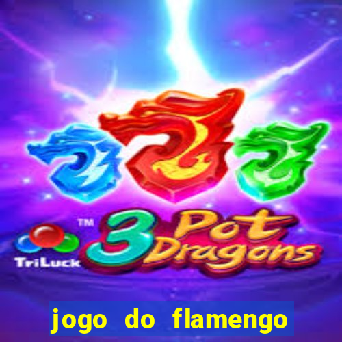 jogo do flamengo multi canais