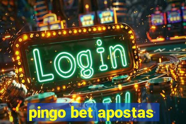 pingo bet apostas