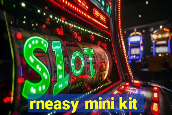 rneasy mini kit