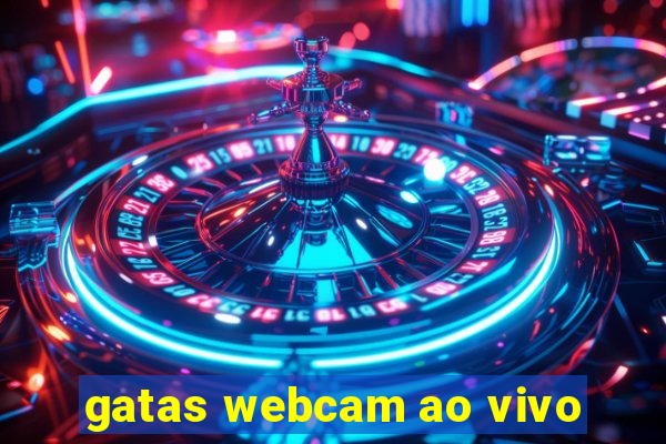 gatas webcam ao vivo