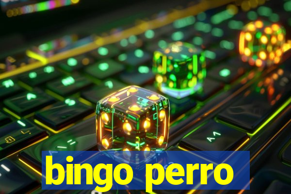 bingo perro