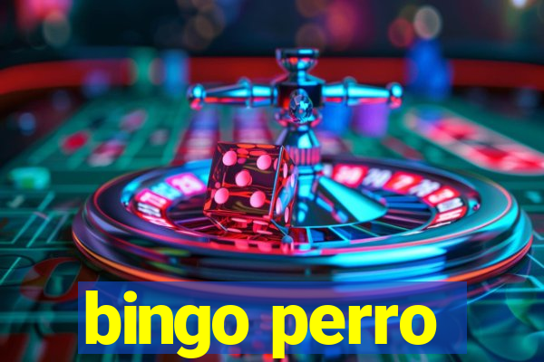 bingo perro