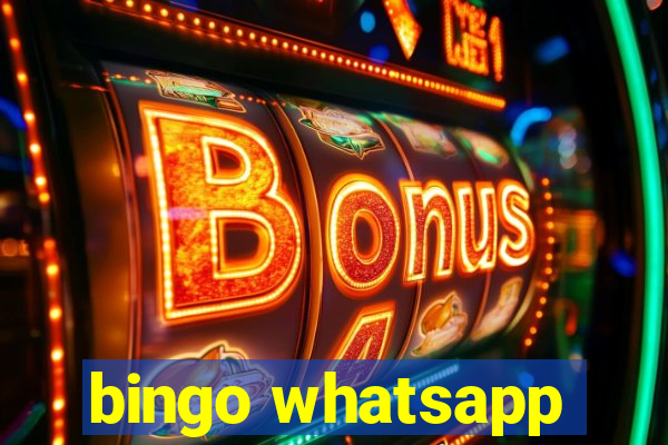 bingo whatsapp