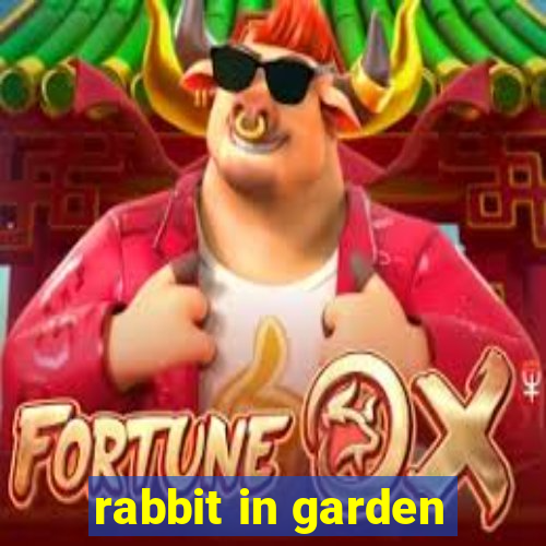 rabbit in garden