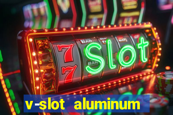 v-slot aluminum profile extrusion