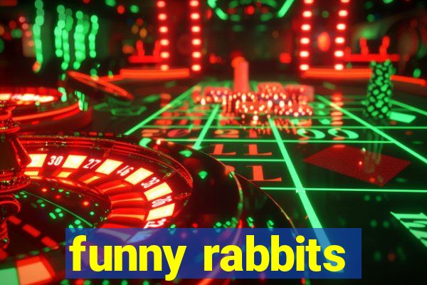 funny rabbits