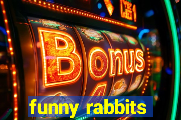 funny rabbits