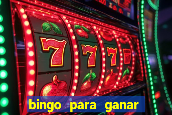 bingo para ganar dinero en paypal