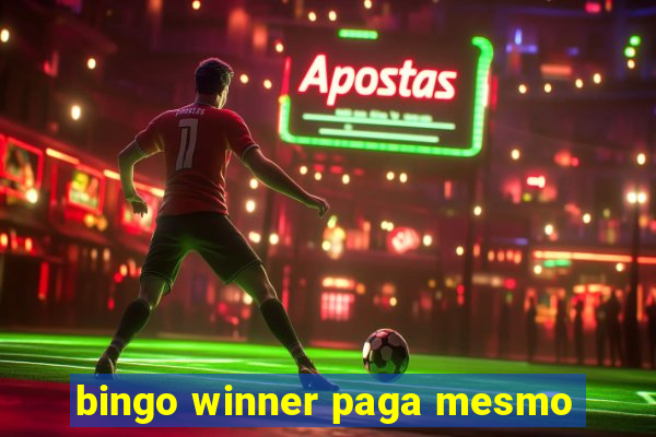 bingo winner paga mesmo