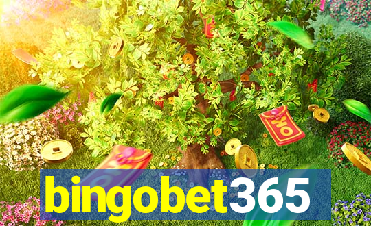 bingobet365