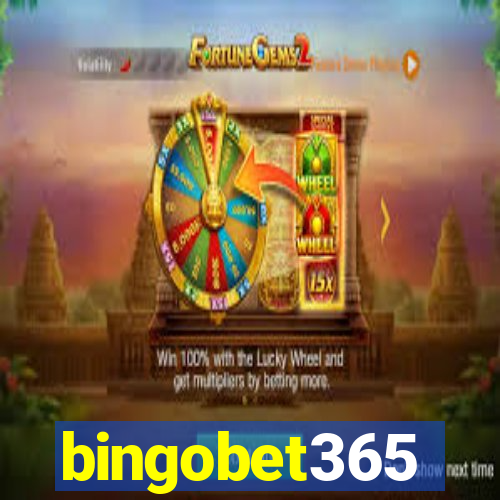 bingobet365