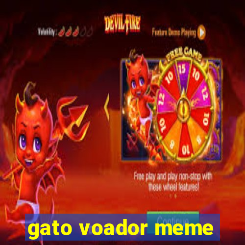 gato voador meme