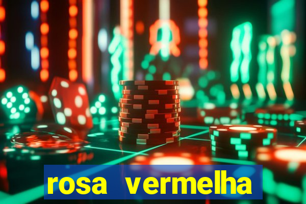 rosa vermelha (letra e cifra)