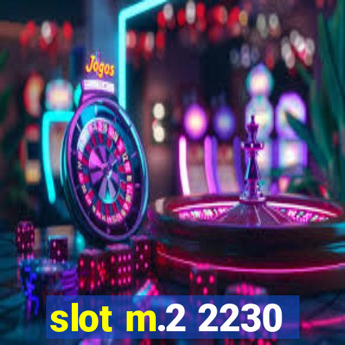 slot m.2 2230