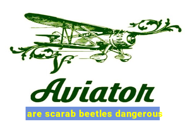 are scarab beetles dangerous