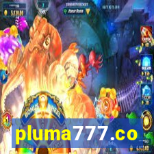 pluma777.co