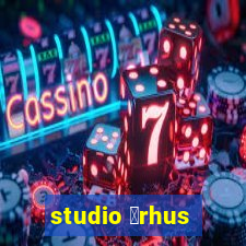 studio 氓rhus