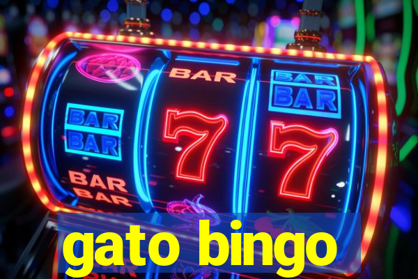 gato bingo