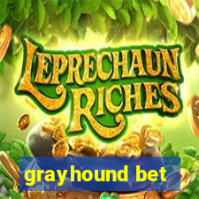 grayhound bet