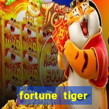 fortune tiger plataforma nova