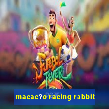 macac?o racing rabbit