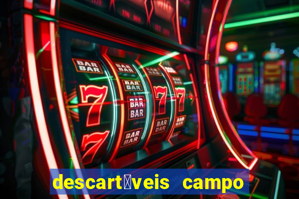 descart谩veis campo grande rj