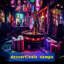 descart谩veis campo grande rj