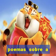 poemas sobre a bahia jorge amado