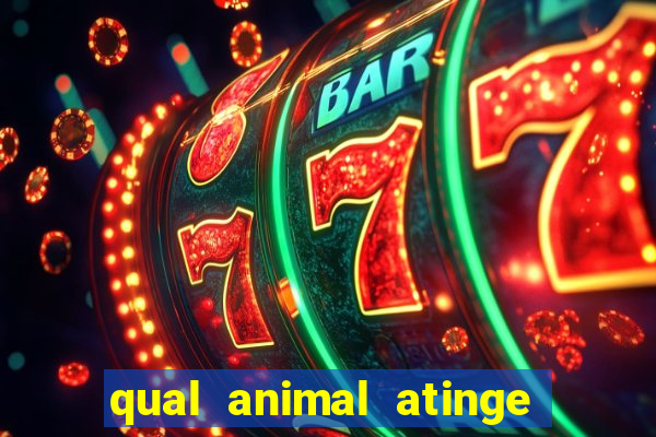 qual animal atinge 230 decibeis