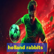 holland rabbits