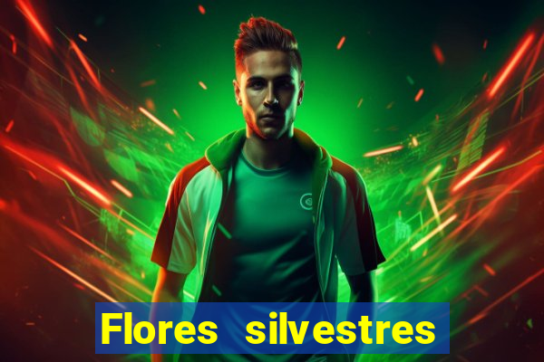 Flores silvestres brasileiras 25