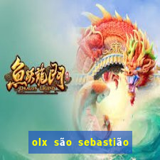 olx são sebastião do passé