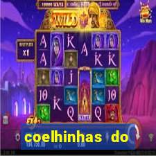 coelhinhas do brasil site