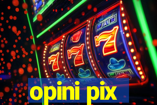 opini pix