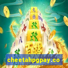 cheetahpgpay.com