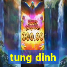 tung dinh