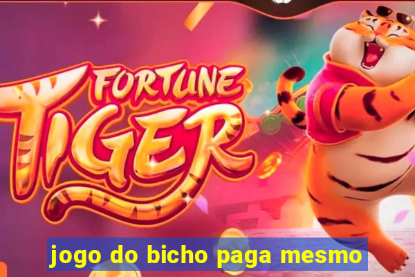 jogo do bicho paga mesmo