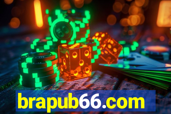 brapub66.com