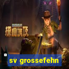 sv grossefehn