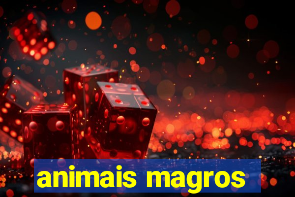 animais magros